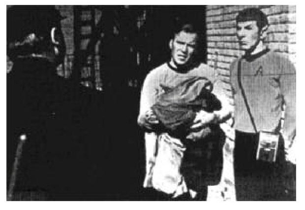 Я — Спок (СИ) - i23-leonard_nimoy_i_am_spock-25.jpg