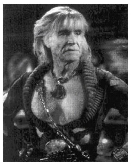 Я — Спок (СИ) - i62-leonard_nimoy_i_am_spock-64.jpg