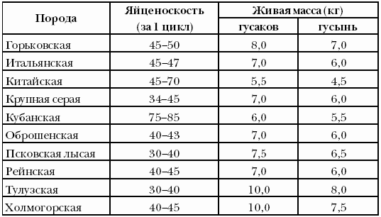 Болезни домашней птицы - i_027.png