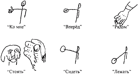 Думает ли собака? - i_006.png