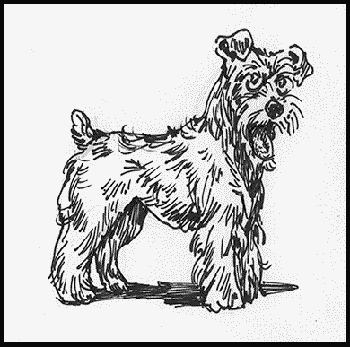 Собаки! - i_006.png