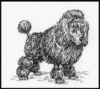 Собаки! - i_013.png