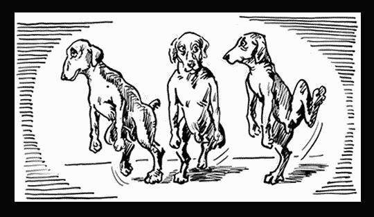 Собаки! - i_016.png