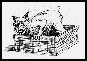 Собаки! - i_017.png