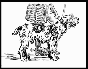 Собаки! - i_059.png