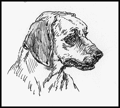 Собаки! - i_069.png