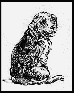 Собаки! - i_131.png