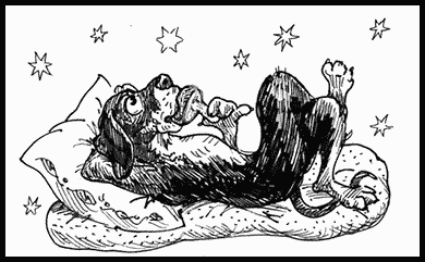 Собаки! - i_132.png