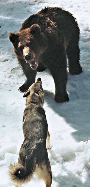 Буян - i_002.jpg