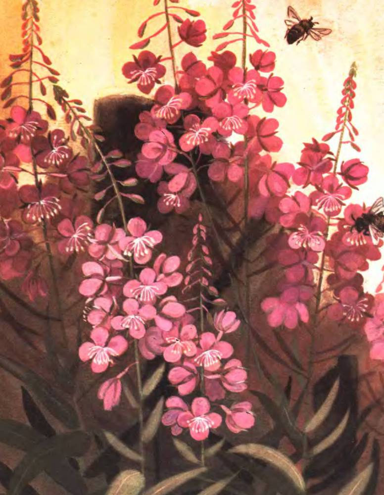 Тропинка полевая - _5.jpg