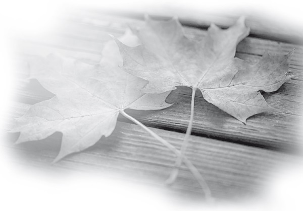 Разрешение жить - i_005.jpg