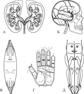 Су Джок семянотерапия - any2fbimgloader2.jpeg