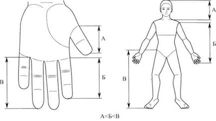 Су Джок семянотерапия - any2fbimgloader6.jpeg