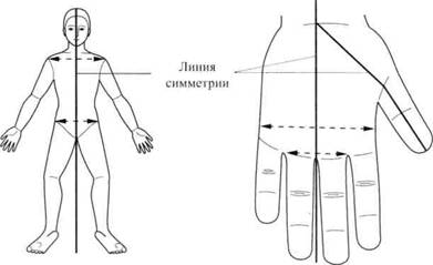Су Джок семянотерапия - any2fbimgloader8.jpeg