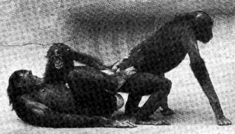 Анатомия однополого секса (СИ) - i_007.jpg