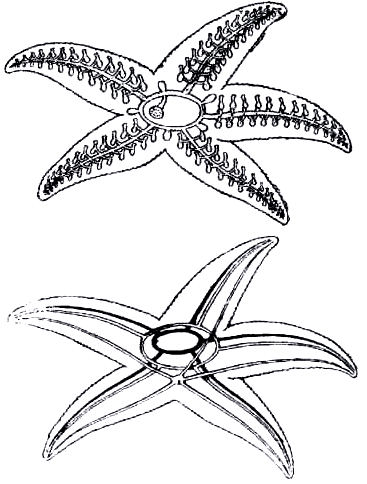 Бегство от одиночества - i_005.png