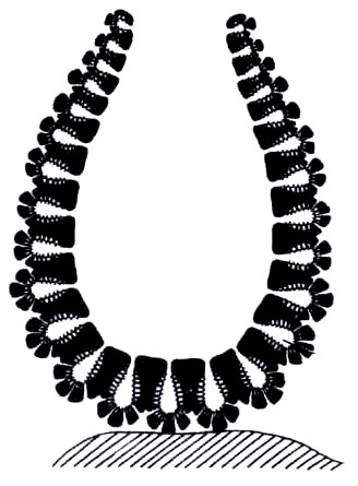 Бегство от одиночества - i_009.png