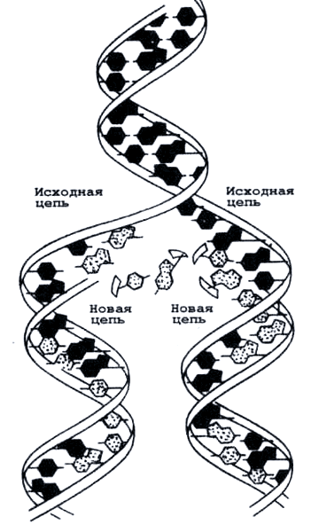 Бегство от одиночества - i_012.png