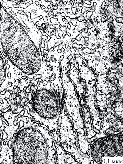 Бегство от одиночества - i_013.png