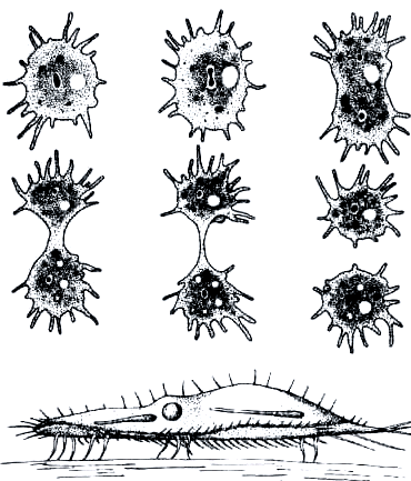 Бегство от одиночества - i_015.png