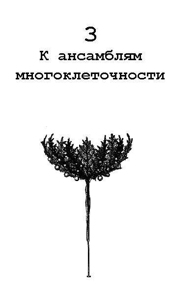 Бегство от одиночества - i_022.png