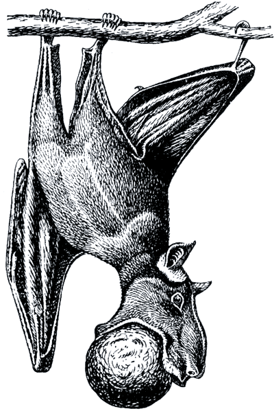 Бегство от одиночества - i_054.png