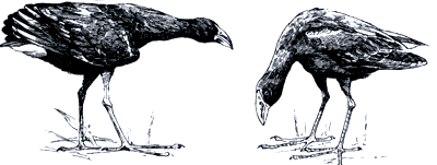 Бегство от одиночества - i_084.png