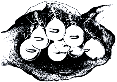 Бегство от одиночества - i_100.png