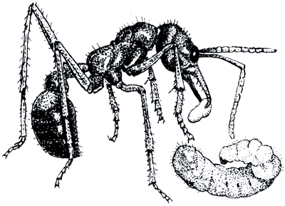 Бегство от одиночества - i_120.png