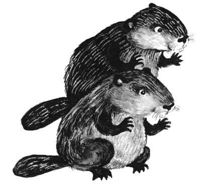 Торпи - pic_4.jpg