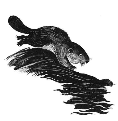 Торпи - pic_6.jpg