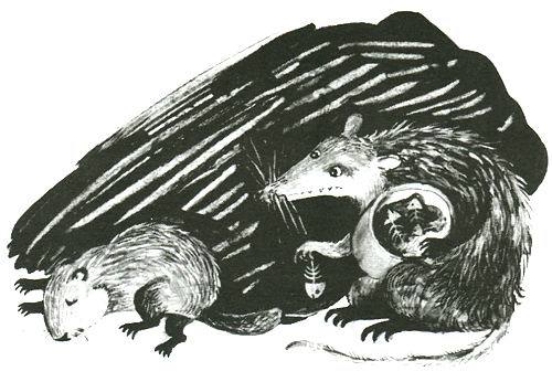 Торпи - pic_14.jpg