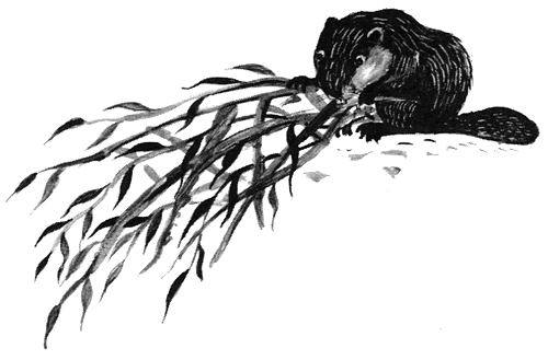 Торпи - pic_15.jpg