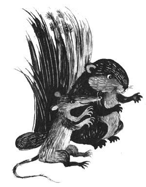 Торпи - pic_21.jpg