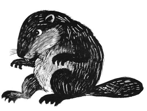 Торпи - pic_25.jpg