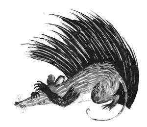 Торпи - pic_32.jpg