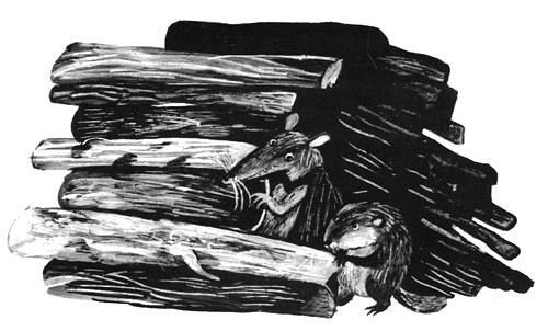 Торпи - pic_33.jpg