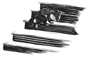 Торпи - pic_42.jpg