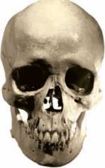 Пираты. - i_087.jpg