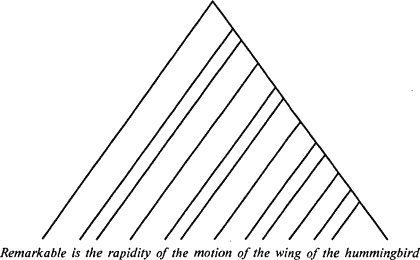 Язык как инстинкт - i_193_1.png