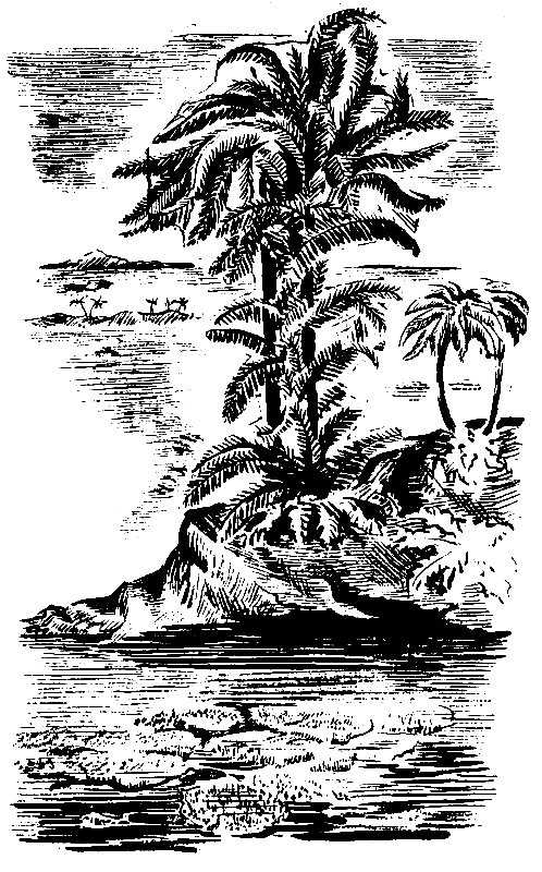 Бронтозавр - pic_8.png