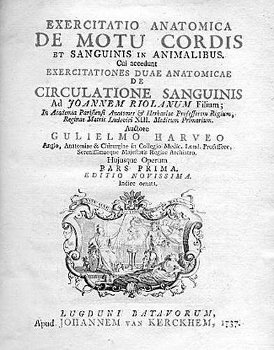 Гомункулус - i_015.jpg