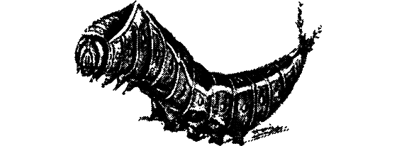 Гомункулус - i_162.png