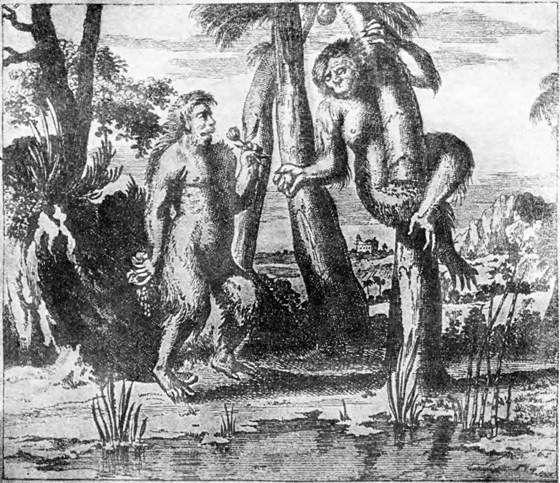 Гомункулус - i_177.jpg