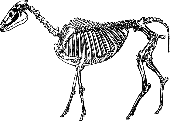 Гомункулус - i_200.png