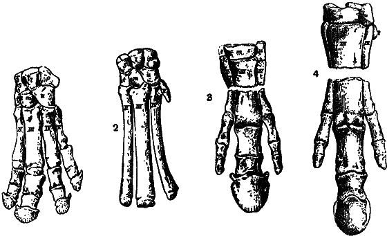 Гомункулус - i_201.png