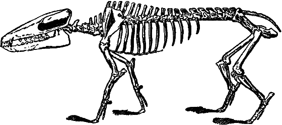 Гомункулус - i_204.png