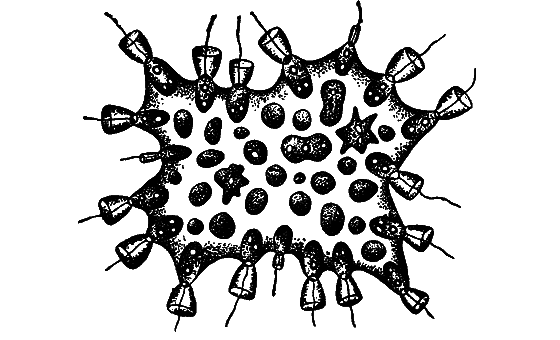 Гомункулус - i_228.png