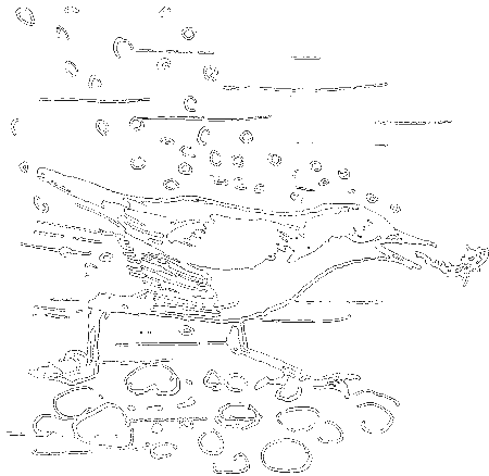 Гребень буйвола - i_012.png