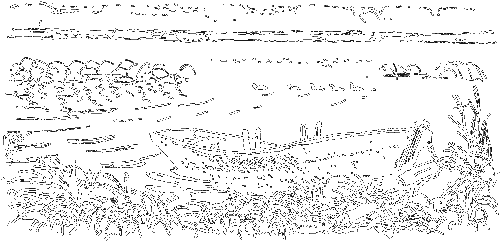 Гребень буйвола - i_034.png